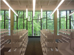 Dolley Madison Library, McLean, VA